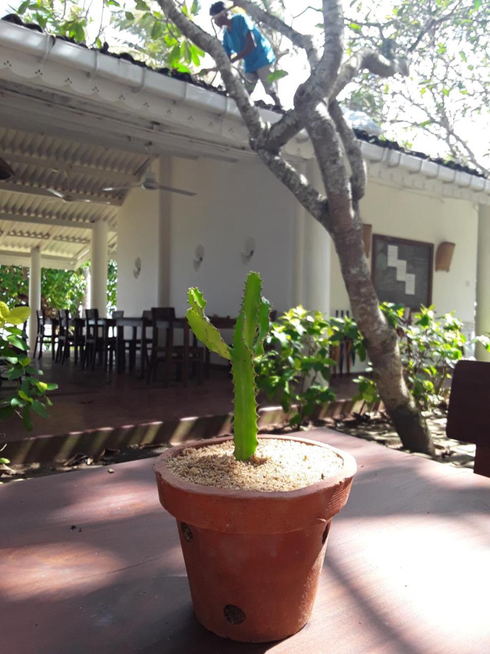 Palm Villa Mirissa Banduramulla Exterior foto