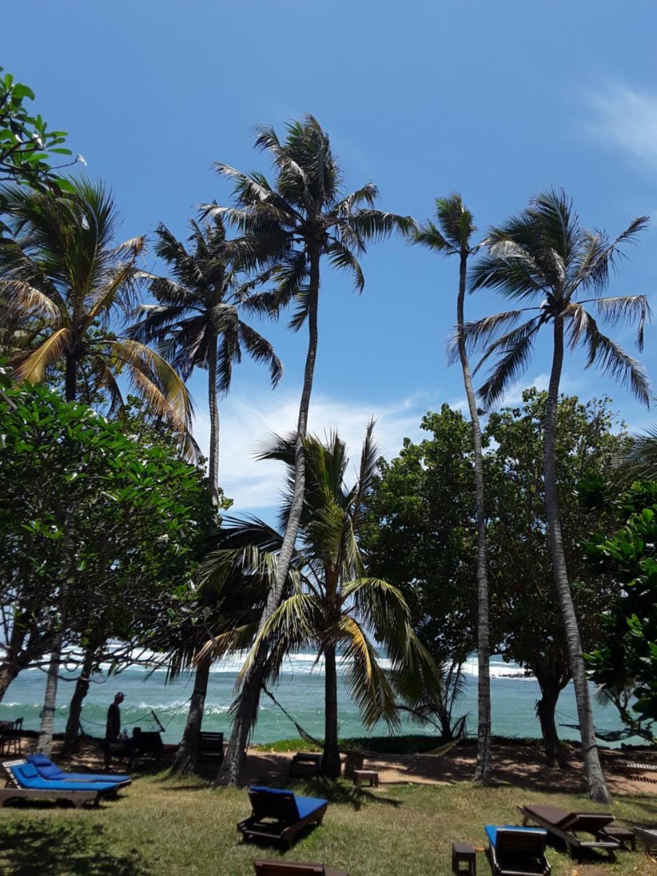Palm Villa Mirissa Banduramulla Exterior foto